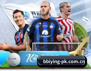 bbiying-pk.com.cn的故事
