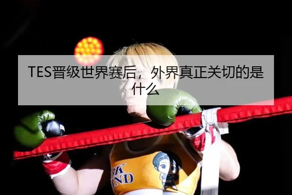 TES晋级世界赛后，外界真正关切的是什么