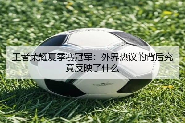 王者荣耀夏季赛冠军：外界热议的背后究竟反映了什么